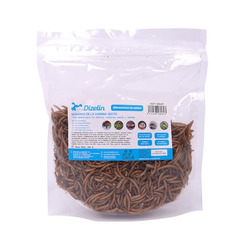 Getrocknete Mehlwürmer, natürlich, reich an Protein, Snack, getrocknet, hohe Energie, Quelle für essentielle Nährstoffe, Omega, für Geflügel, Hühner, Hühner, Reptilien, Nagetiere (200 g) von SMELL & SMILE