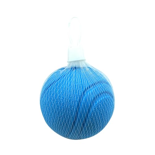 SMELL & SMILE Hundespielzeugball, robust, interaktiv und sicher, für Haustiere, zufällige Farbe (8 cm) von SMELL & SMILE
