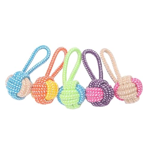SMYTJSYC Interaktives Baumwollseil, Mini-Hundespielzeug, Ball für Hunde, Zubehör, Zahnbürste, Kauspielzeug, Welpenspielzeug, Haustierspielzeug, B-1 Stück, zufällige Farbe SMYTJSYC Interaktives Baumwollseil, Mini-Hundespielzeug, Ball für Hunde, Zubehör, Zahnbürste, Kauspielzeug, Welpenspielzeug, Haustierspielzeug, B-1 Stück, zufällige Farbe von SMYTJSYC