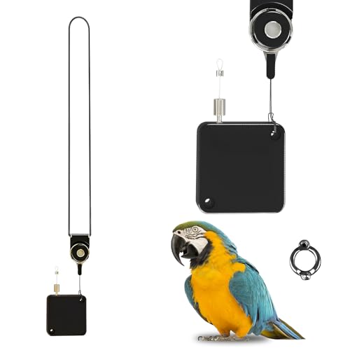 Einziehbare Vogelleine, 2 m langes Papageiengeschirr, verstellbare Haustier-Leine, Fliegen-Trainingsseil, Outdoor-Traktion für Vögel, Outdoor-Training (Fußring-Durchmesser 5,5 mm) von SNSYGN