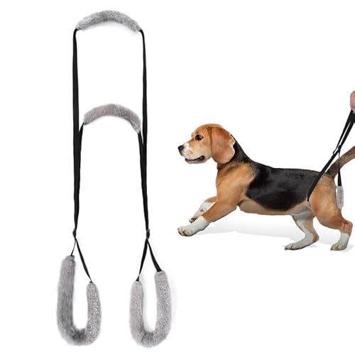 Hunde Hebegeschirr, verstellbare Hilfe Hundegeschirr Hundeschlinge Beinstütze für verletzte behinderte ältere Hunde Gehhilfe Hunde Hebegeschirr, verstellbare Hilfe Hundegeschirr Hundeschlinge Beinstütze für verletzte behinderte ältere Hunde Gehhilfe von SNSYGN
