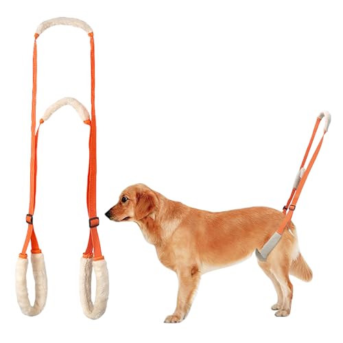 Hundegeschirr Grosse Hunde Gehhilfe mit Sicherheitsgurt - Tragehilfe für Kranke & Altere Hunde von SNSYGN