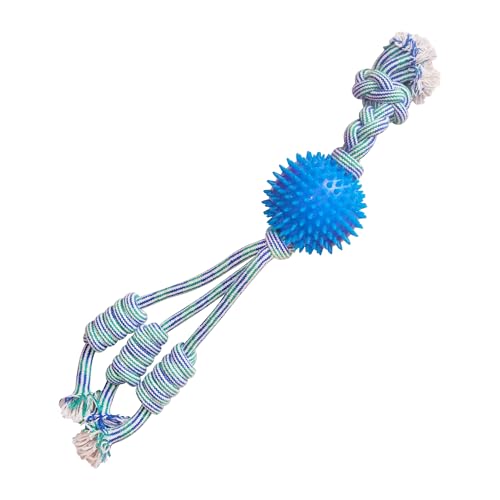 SNUGAROOZ 712188 Feeling n Spikey Hundespielzeug, 58,4 cm von SNUG AROOZ