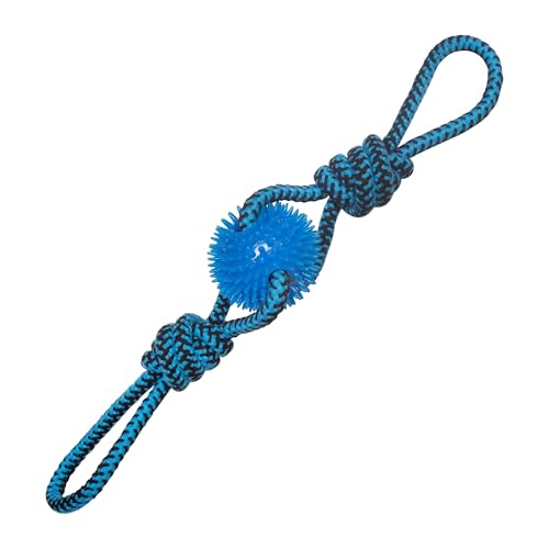 SNUGAROOZ 712187 Spikey Baby Hundespielzeug, 48,3 cm von SNUG AROOZ