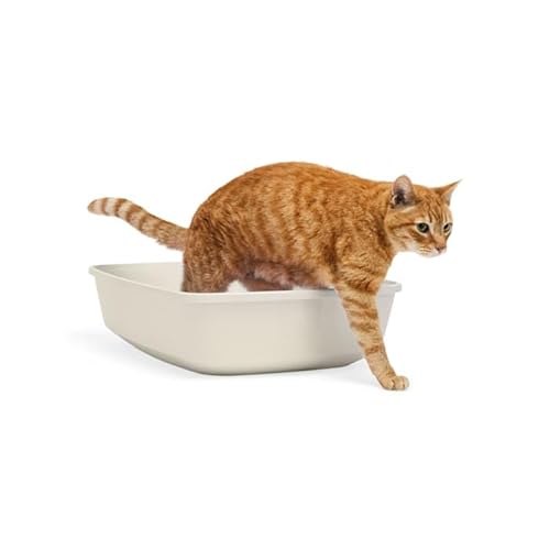 So Phresh Katzentoilette, offen, 48,9 x 33 x 12,7 cm (L x B x H) von SO PHRESH