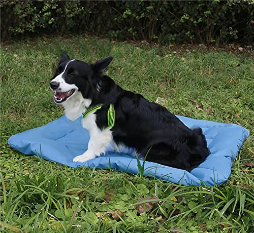 Langlebiges Oxford Hundebettmatratze, Wasserdichtes Hundematratzenkissen, Faltbare Tragbare Hundematte, Multifunktionales Haustierkissen für Den Hunde Katzen von SOAI
