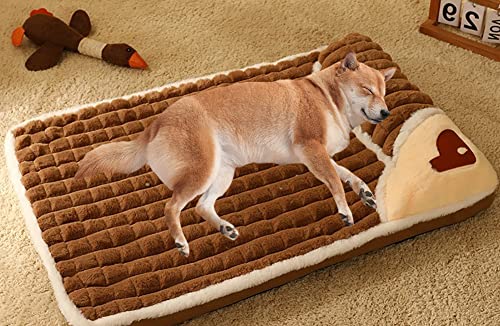 SOAI Plüsch Haustierbett, Weich und Bequem, Orthopädische Hundematte aus Memory-Schaum, Rutschfestes Hundebett mit Reißverschluss, Leicht zu Reinigen SOAI Plüsch Haustierbett, Weich und Bequem, Orthopädische Hundematte aus Memory-Schaum, Rutschfestes Hundebett mit Reißverschluss, Leicht zu Reinigen von SOAI