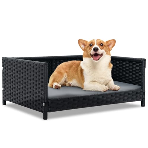 SOARS Hundebett Rattan, Hundekorb mit Kissen, Bezug abnehmbar und waschbar, erhöhtes Hundesofa für kleine und mittelgroße Hunde, Hundecouch für drinnen und draußen, 62 x 46 x 25 cm SOARS Hundebett Rattan, Hundekorb mit Kissen, Bezug abnehmbar und waschbar, erhöhtes Hundesofa für kleine und mittelgroße Hunde, Hundecouch für drinnen und draußen, 62 x 46 x 25 cm von SOARS
