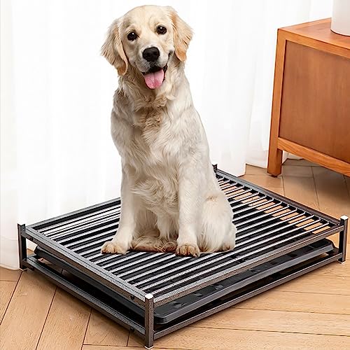 Hundetoilette, Metall-Töpfchen-Trainingstoilette, Hundetoilette, Schublade, Trainingstablett, Haustier-Pads-Halter, Hundetoilette for Kleine, Mittelgroße Und Große Hunde (Size : 70x50cm(27.5x19.7in) Hundetoilette, Metall-Töpfchen-Trainingstoilette, Hundetoilette, Schublade, Trainingstablett, Haustier-Pads-Halter, Hundetoilette for Kleine, Mittelgroße Und Große Hunde (Size : 70x50cm(27.5x19.7in) von SOBS