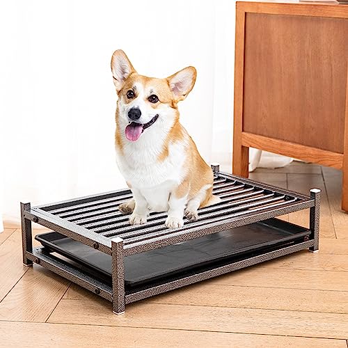 Hundetoilette, Metall-Töpfchen-Trainingstoilette, Hundetoilette, Schublade, Trainingstablett, Haustier-Pads-Halter, Hundetoilette for Kleine, Mittelgroße Und Große Hunde (Size : 50x30cm(19.7x11.8in) Hundetoilette, Metall-Töpfchen-Trainingstoilette, Hundetoilette, Schublade, Trainingstablett, Haustier-Pads-Halter, Hundetoilette for Kleine, Mittelgroße Und Große Hunde (Size : 50x30cm(19.7x11.8in) von SOBS