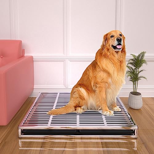 Hundetoilette, Geräumige Schublade Aus Edelstahl, Katzentoilette, Pinkel-Pad-Halter, Trainingstabletts For Hunde, For Drinnen Und Draußen, For Hundetraining, Großes Hundetöpfchen For Zuhause, Veranda, Hundetoilette, Geräumige Schublade Aus Edelstahl, Katzentoilette, Pinkel-Pad-Halter, Trainingstabletts For Hunde, For Drinnen Und Draußen, For Hundetraining, Großes Hundetöpfchen For Zuhause, Veranda, von SOBS