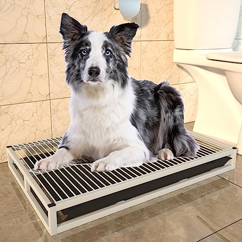 Hundetoilette Mit Schubladenablage For Das Töpfchentraining For Kleine/große Hunde Im Innen- Und Außenbereich, Hundetoilette Aus Metall Ist Ein Komplettes Töpfchensystem, Pinkelkissenhalter For Hunde, Hundetoilette Mit Schubladenablage For Das Töpfchentraining For Kleine/große Hunde Im Innen- Und Außenbereich, Hundetoilette Aus Metall Ist Ein Komplettes Töpfchensystem, Pinkelkissenhalter For Hunde, von SOBS