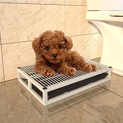Hundetoilette Mit Schubladenablage For Das Töpfchentraining For Kleine/große Hunde Im Innen- Und Außenbereich, Hundetoilette Aus Metall Ist Ein Komplettes Töpfchensystem, Pinkelkissenhalter For Hunde, Hundetoilette Mit Schubladenablage For Das Töpfchentraining For Kleine/große Hunde Im Innen- Und Außenbereich, Hundetoilette Aus Metall Ist Ein Komplettes Töpfchensystem, Pinkelkissenhalter For Hunde, von SOBS