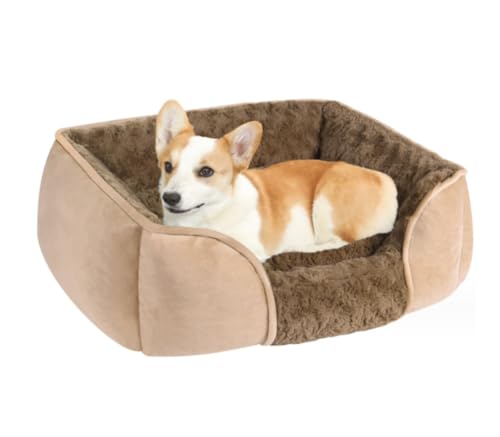 Hundekorb Hundebett Katzenbett Hundesofa Hundebetten, waschbar, beruhigendes Hundebett, orthopädisches Hundebett, wärmend, weich schlafendes Welpenbett, langlebiges Haustierbett Hundekörbchen Haustier Hundekorb Hundebett Katzenbett Hundesofa Hundebetten, waschbar, beruhigendes Hundebett, orthopädisches Hundebett, wärmend, weich schlafendes Welpenbett, langlebiges Haustierbett Hundekörbchen Haustier von SOCUY