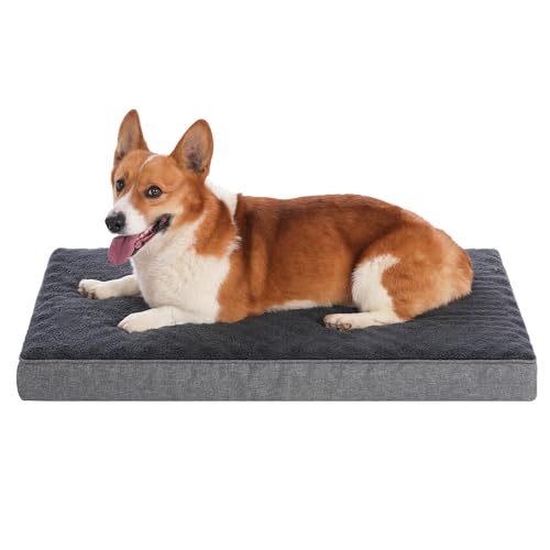 SOFTHOLA Orthopädisches Hundebett für mittelgroße und kleine Hunde, Hundematte mit abnehmbarem, waschbarem Bezug und rutschfester Unterseite, Schaumstoff-Haustierbett, Hundematratze, Hundehütte, 76,2 SOFTHOLA Orthopädisches Hundebett für mittelgroße und kleine Hunde, Hundematte mit abnehmbarem, waschbarem Bezug und rutschfester Unterseite, Schaumstoff-Haustierbett, Hundematratze, Hundehütte, 76,2 von SOFTHOLA
