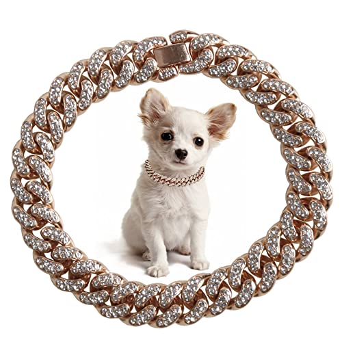 SOGAYU Goldfarbene Hundekette, Metallhalsband, 10 mm breit, kubanische Diamant-Legierung, Gliederkette, Welpen-Halskette, Geschenk, Schmuckzubehör für kleine Hunde (30 cm) von SOGAYU