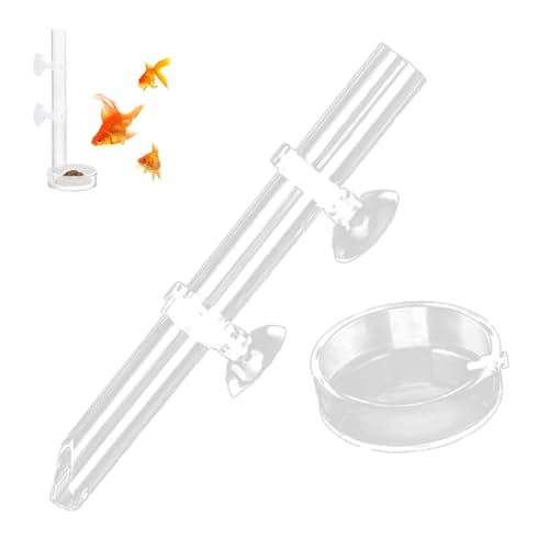 Aquarium Fisch,Garnelen Futterschale,Aquarium Futterring,Aquarium Garnelen,Garnelenfutter,Für Garnelenfische Acryl Transparent Durable Aquarium Crystal Shrimp Feeder Aquarium Ernährungssonde von SOGHO