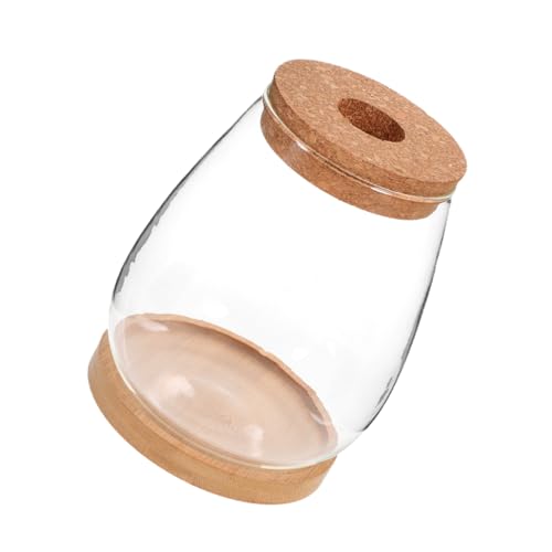SOIMISS 1 Satz Landschafts Ökologie Flasche Pflanzenterrarium Glasbehälter mit Lochdeckel und für Kreative Deko und Pflanzenpräsentation SOIMISS 1 Satz Landschafts Ökologie Flasche Pflanzenterrarium Glasbehälter mit Lochdeckel und für Kreative Deko und Pflanzenpräsentation von SOIMISS