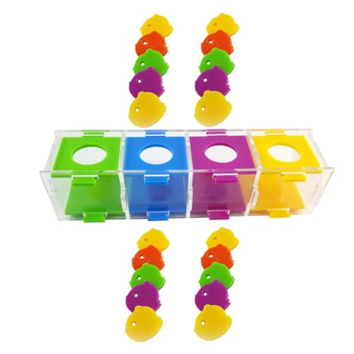 SOIMISS Papageien-drehspielzeug Für Vögel Farbsortier-wurfbox Sittichspielzeug Interaktives Papageien-Spielzeug Papageien-lernmaterial Papageien-Trick-Requisite von SOIMISS