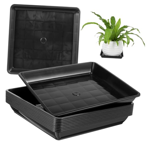 SOIMISS 10 Stück Plastik -Chassis quadratisches Pflanztablett Untertasse rolluntersetzer für blumenkübel außen blumenkübel untersetzer zimmerpflanzen Blumenkugelbodenschale Pflanzschale von SOIMISS