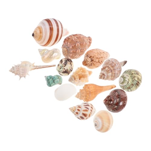 SOIMISS 15 Stück Teiliges Bunter Muscheln Natürliche Dekoration für Aquarien DIY Bastelprojekte und Strandpartys für Fische Vielseitig Einsetzbar Süß und Salzwasseraquarien SOIMISS 15 Stück Teiliges Bunter Muscheln Natürliche Dekoration für Aquarien DIY Bastelprojekte und Strandpartys für Fische Vielseitig Einsetzbar Süß und Salzwasseraquarien von SOIMISS