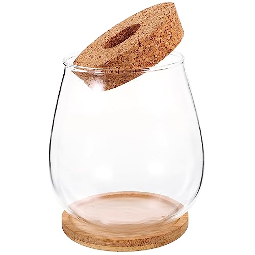 SOIMISS Glasterrarium Für Mikrolandschaft Økologische Moosflasche Als DIY-pflanzenbehälter Klarer Terrarienglasbehälter Für Landschaftsbehälter Dekorative Flasche Für Haus Oder von SOIMISS
