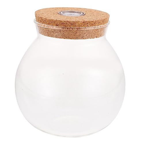 SOIMISS 1Stücke Terrarium Container mit Deckel Kreative DIY Landschaftsflasche für Pflanzen und Außendekoration Transparente Glasflasche für Moos und von SOIMISS