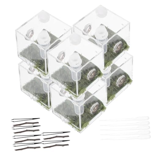 SOIMISS 2 Sätze Springspinnen-zuchtbox Insektenfänger-kit Für Schildkröte Stabheuschrecke Fangset Für Gehäuse Critter Zubehör Für Reptilien Spinnengehege Züchten Puzzle Acryl von SOIMISS