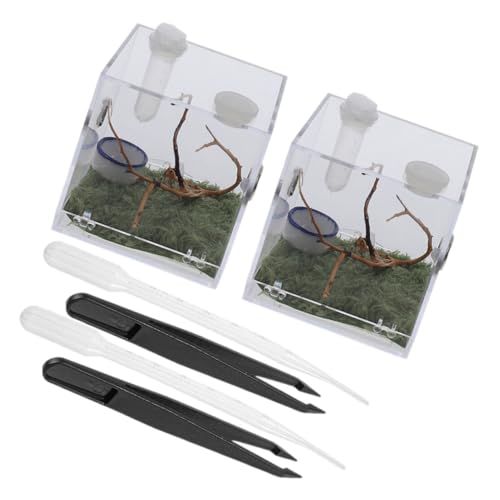 SOIMISS 2 Sätze Teiliges Acryl Springspinnen Terrarium mit Teiligem Zubehör Transparentes Reptilien Aufzuchtbehälter Leichtes Futtergehäuse für Kletternde Haustiere zur Beobachtung und SOIMISS 2 Sätze Teiliges Acryl Springspinnen Terrarium mit Teiligem Zubehör Transparentes Reptilien Aufzuchtbehälter Leichtes Futtergehäuse für Kletternde Haustiere zur Beobachtung und von SOIMISS