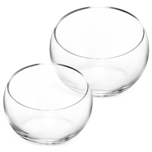 SOIMISS 2 Stück Glasvase für Sukkulenten und Pflanzen Teiliges mit Schrägen Öffnungen Vielseitig Einsetzbar als Terrarium oder Fischbehälter Robuste Verarbeitung und Design für SOIMISS 2 Stück Glasvase für Sukkulenten und Pflanzen Teiliges mit Schrägen Öffnungen Vielseitig Einsetzbar als Terrarium oder Fischbehälter Robuste Verarbeitung und Design für von SOIMISS