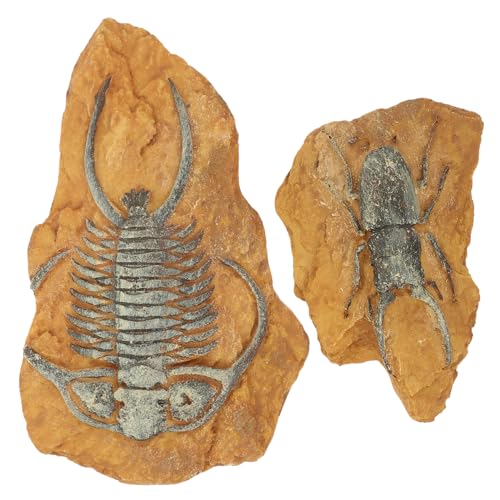 SOIMISS 2 Stück Lebensechte Resin Fossil Terrarium Dekor Kreative Kriechlandschaft Ornamente für Reptilien Spinnen und Hamster Robustes Sicheres Versteck für Dunkle Terrarienatmosphäre von SOIMISS