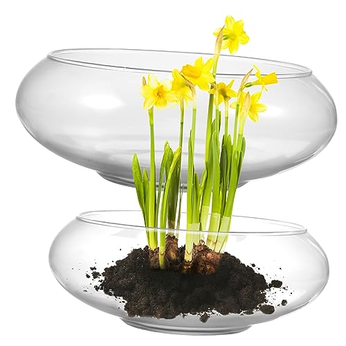 SOIMISS 2 Stück Narzissenbecken zimmerpflanzen raumdeko Terrarium nebler Fish Bowl dekoschalen runden Vase Mittelstücke Blumenbehälter Glas Terrarium Bowl Betta-Fischglas Transparent von SOIMISS