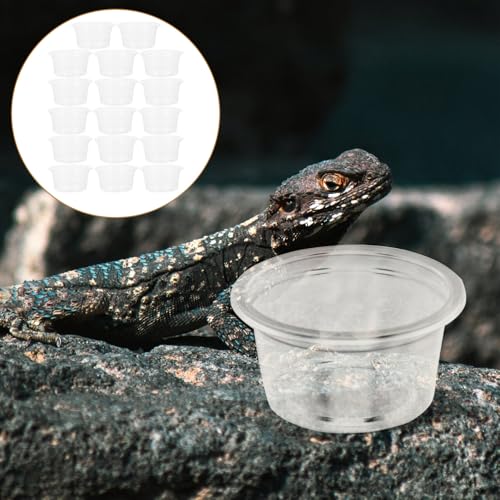 SOIMISS 20 Stück Teiliges Reptilien Wassernapf Transparent Multifunktionale Futter Wasserschalen für Terrarien Leicht zu Reinigen für Geckos Schildkröten Schlangen und Andere Reptilien SOIMISS 20 Stück Teiliges Reptilien Wassernapf Transparent Multifunktionale Futter Wasserschalen für Terrarien Leicht zu Reinigen für Geckos Schildkröten Schlangen und Andere Reptilien von SOIMISS
