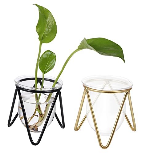 SOIMISS 2Stücke Kleine Transparente Glasvasen Für Metallständer Hydrokulturpflanzen Aufbewahrungsbehälter Für Desktop Blumenarrangements Und Modern von SOIMISS
