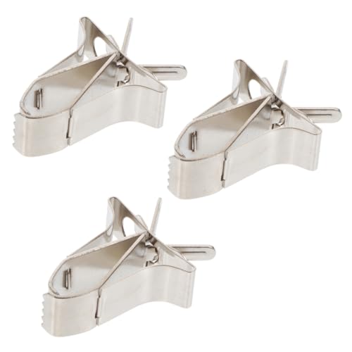 SOIMISS 3 Stück Obstgabel aus Edelstahl vogelfutterspender vogelfutterhäuschen Bird feeders Birdfeeder Käfig Heimtierbedarf Futterzange für Papageien Vogelzubehör Rostfreier Stahl Silver von SOIMISS