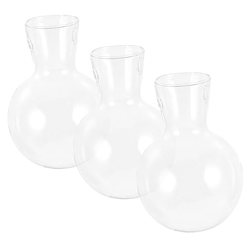 SOIMISS 3Stücke Hydroponische Glasvase Transparente Blumenpflanzvase Borosilikatglas Für Wasseranpflanzung Minimalistischer Hängende Pflanzbehälter Für Dekoration Im Innen von SOIMISS