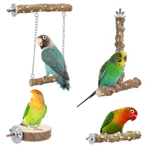 SOIMISS 4 Stück Holz Vogel Sitzstangen Teilig Natürliche Papageien Spielzeuge für Käfige Robust und Komfortabel für Wellensittiche und Nymphensittiche Ästhetisches Vogelzubehör SOIMISS 4 Stück Holz Vogel Sitzstangen Teilig Natürliche Papageien Spielzeuge für Käfige Robust und Komfortabel für Wellensittiche und Nymphensittiche Ästhetisches Vogelzubehör von SOIMISS