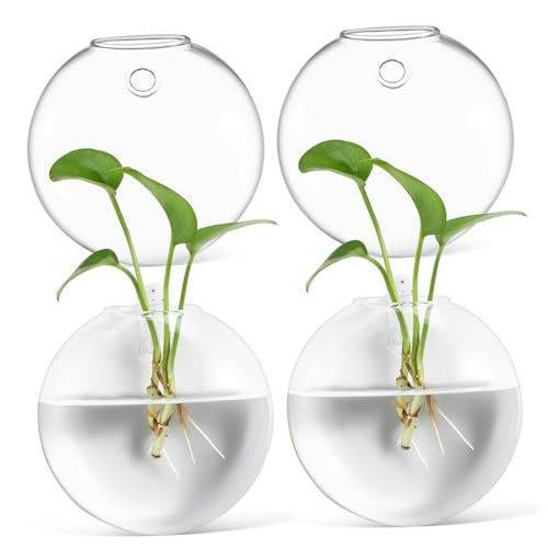 SOIMISS 4pcs Wandmontierte Glasvase Transparente Blumentopf Hängende Glasstrauß Vase Wohnzimmer Vase Pflanzen Halter Wanddekoration von SOIMISS