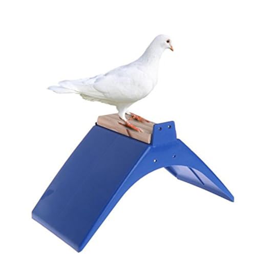 SOIMISS 5 Stück Teiliges Tauben Sitzstangen aus Robustem Kunststoff und Massivem Holz Großes Modell Blau Langlebiger Vogel Ruherahmen für Vogelkäfigzubehör und Taubenzucht SOIMISS 5 Stück Teiliges Tauben Sitzstangen aus Robustem Kunststoff und Massivem Holz Großes Modell Blau Langlebiger Vogel Ruherahmen für Vogelkäfigzubehör und Taubenzucht von SOIMISS