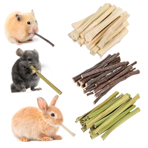 SOIMISS 55 Stück Teiliges Kleine Haustier Kauspielzeuge Natürliche Holz Knabbersticks für Kaninchen Hamster Chinchilla und Meerschweinchen Zum Zahnpflege Beschäftigung und Langeweile von SOIMISS