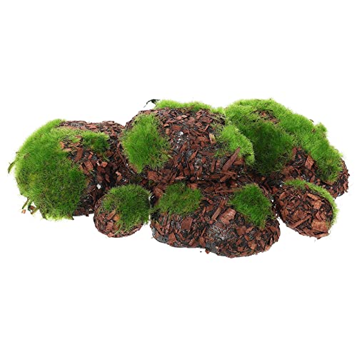 SOIMISS 6 Stück Lebendige Moossteine Künstliche Mooskugeln für Aquarien und Mikrolandschaften Dekoration für Bonsai und Terrarien SOIMISS 6 Stück Lebendige Moossteine Künstliche Mooskugeln für Aquarien und Mikrolandschaften Dekoration für Bonsai und Terrarien von SOIMISS