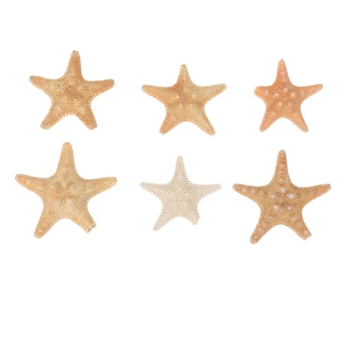 SOIMISS 6 Stück Teiliges Natürliche Seesterne Dekoration DIY Bastelmaterial für Aquarium Gestaltung Handverlesen und Vielseitig für Dekorative Projekte Zufällige Farbe Zufällige Farbe von SOIMISS