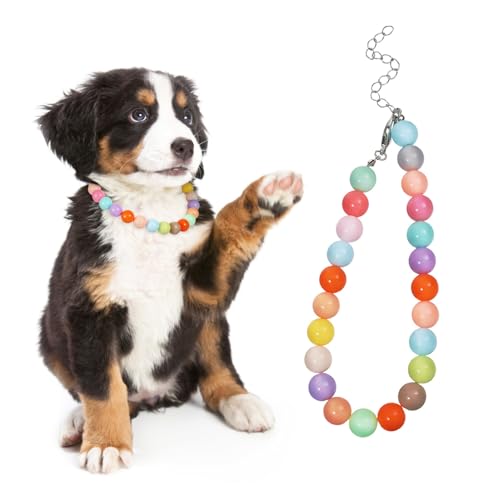 SOIMISS Candy Farbenes Verstellbares Perlen Hundehalsband aus Resin Modisches Schmuck Accessoire für Kleine und Mittelgroße Hunde Auffälliges Design für Besondere Anlässe und Alltag von SOIMISS