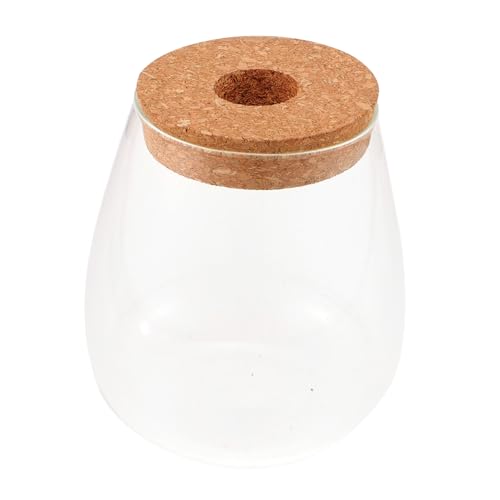 SOIMISS Flasche Fallen Lassen Indoor Plants zimmerpflanzen blumtöpfe blumrntopf Indoor Garden glasvase Terrarienglas klare Vase hydroponisches Pflanzenterrarium Mikrolandschaftshalter Holz von SOIMISS