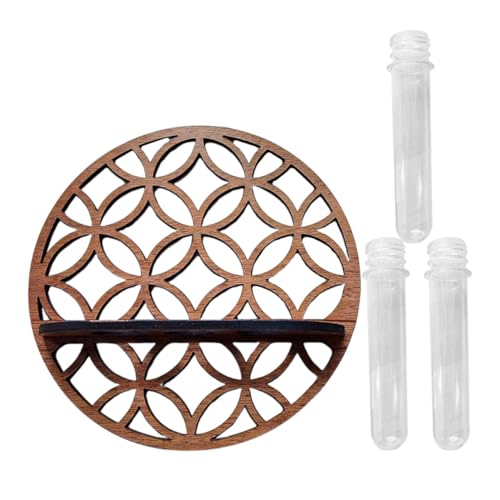 SOIMISS Hydroponischer Pflanzenständer Kunststoff Terrarium Vase mit Holzsockel Transparente Wand deko für Zimmerpflanzen Stilvolle Hydrokultur anzucht Vielseitig für Büro und Zuhause SOIMISS Hydroponischer Pflanzenständer Kunststoff Terrarium Vase mit Holzsockel Transparente Wand deko für Zimmerpflanzen Stilvolle Hydrokultur anzucht Vielseitig für Büro und Zuhause von SOIMISS