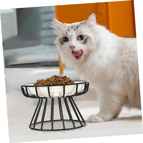 SOIMISS Keramik Futternapf für Katzen und Kleine Hunde Erhöhtes Design mit Rutschfestem Schwarzem Eisenständer Lebensmittelecht Kippsicher für Trockenfutter und Wasser SOIMISS Keramik Futternapf für Katzen und Kleine Hunde Erhöhtes Design mit Rutschfestem Schwarzem Eisenständer Lebensmittelecht Kippsicher für Trockenfutter und Wasser von SOIMISS