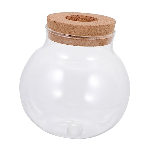 SOIMISS Kleine Glasflasche für DIY Micro Landschaft mit Frischem Moos Langlebig Bruchsicher Glatter Oberfläche als Dekoratives Terrarium für Wohnzimmer Schlafzimmer Badezimmer von SOIMISS