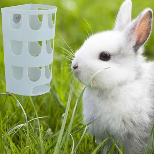 SOIMISS Kleintier Futternapf aus Kunststoff mit Praktischem Grashalter Fixierbarer Napf für Kaninchen Chinchillas Vögel Tiefes Design Verhindert Verschütten Langlebig und Zufällige Farbe von SOIMISS