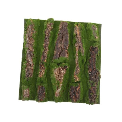 SOIMISS Kletternde Rindendekoration Für Haustiere Gecko Aquarium Schnecken Terrarium Eidechsen Aquarium Dekoration Fischtank Dekoration Gecko Terrarium Korkrinde Aquarium SOIMISS Kletternde Rindendekoration Für Haustiere Gecko Aquarium Schnecken Terrarium Eidechsen Aquarium Dekoration Fischtank Dekoration Gecko Terrarium Korkrinde Aquarium von SOIMISS