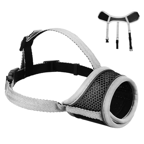 SOIMISS Maulkorb für Haustiere gurtstopper gurtschutz hundezubehör Dog Accessories beißkorb Zähne Pfoten zahnpasta für Hunde zum Beißen Maulkörbe für Haustiere Polyester Silver SOIMISS Maulkorb für Haustiere gurtstopper gurtschutz hundezubehör Dog Accessories beißkorb Zähne Pfoten zahnpasta für Hunde zum Beißen Maulkörbe für Haustiere Polyester Silver von SOIMISS